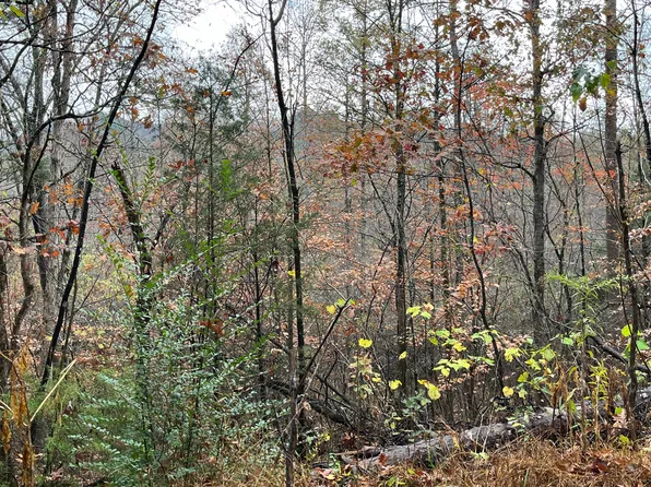 378-8 Rocky Top Rd, Newport, TN 37821