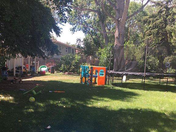 Back yard