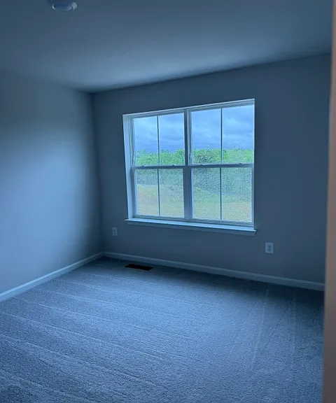267 Swan Field Ave — Photo 4