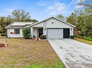 9242 Manchester St, Spring Hill, FL 34606
