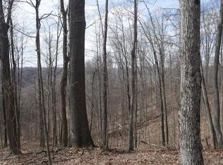 Reynolds Ridge Rd, Bandy, VA 24602