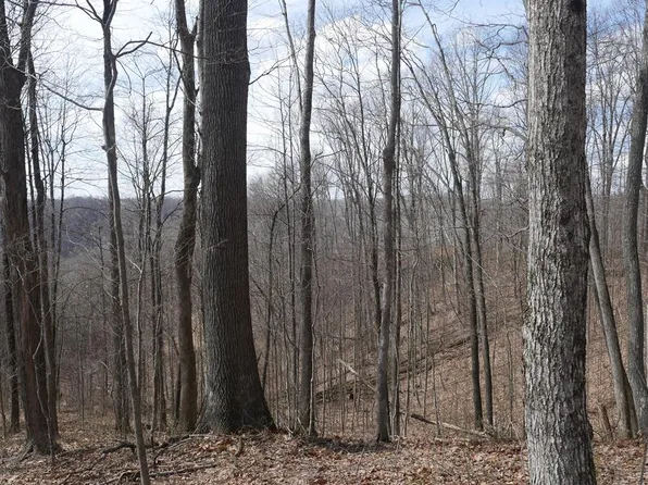 Reynolds Ridge Rd, Bandy, VA 24602