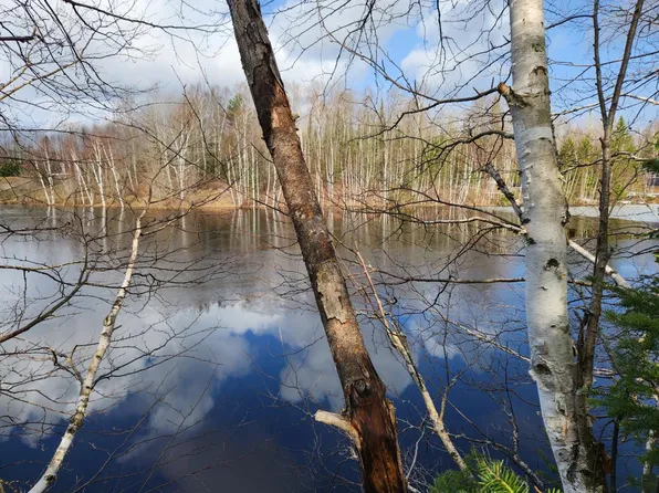 On Woodduck Dr, Park Falls, WI 54552