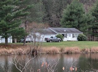 41 Fishbasket Hollow Dr, Austin, PA 16720