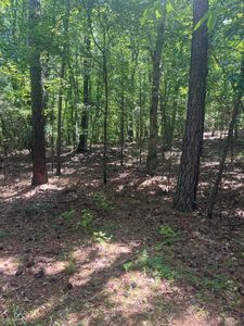 0 Main St W, Ware Shoals, SC, 29692
