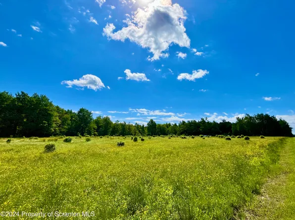 9755 State Route 171, Union Dale, PA 18470