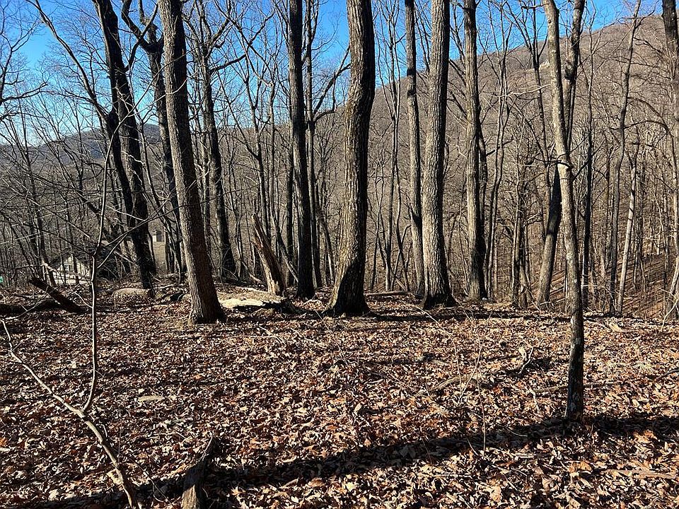 1st image of 0 Sassafras Mountain Trl