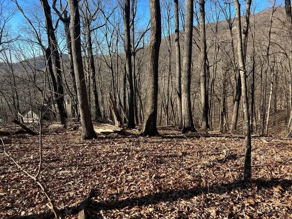 245 Sassafras Mountain Trl, Jasper, GA 30143