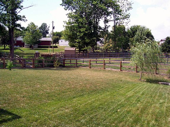 Backyard quiet, near wooded area