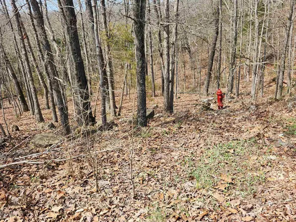 L-6-B11 Flathead Dr Lot 6, Cherokee Village, AR 72529