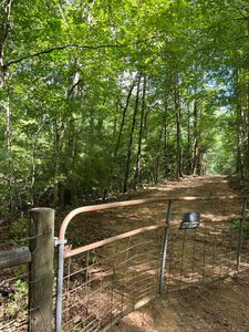 Cutcane Rd, Mineral Bluff, GA, 30559