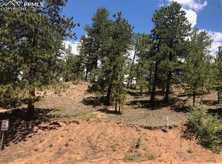 19 Ranch Rd, Woodland Park, CO 80863