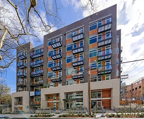 PERCH The Perch Photo 1