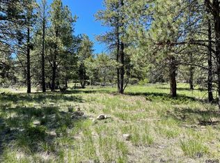 383 Hackberry Ln, Canon City, CO 81212