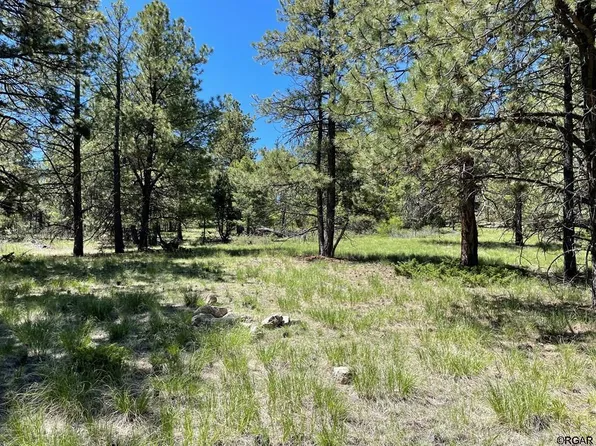 383 Hackberry Ln, Canon City, CO 81212