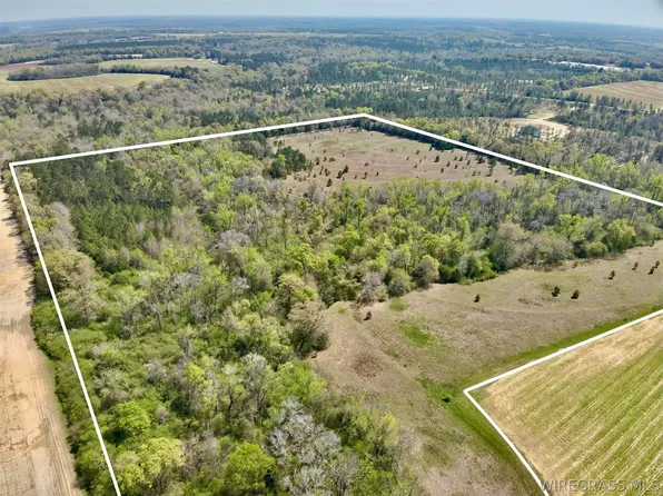 Dillard Rd, Pansey, AL 36370