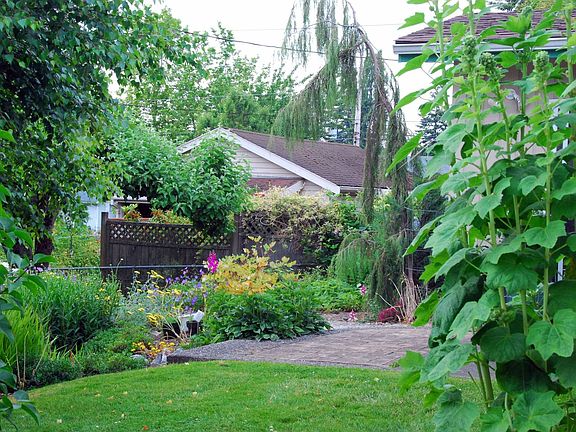 View of back garden