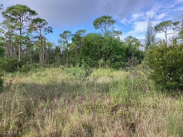 2nd image of 8817 Evergreen Ln