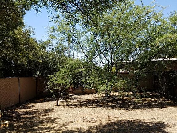 LG WOODED YARD