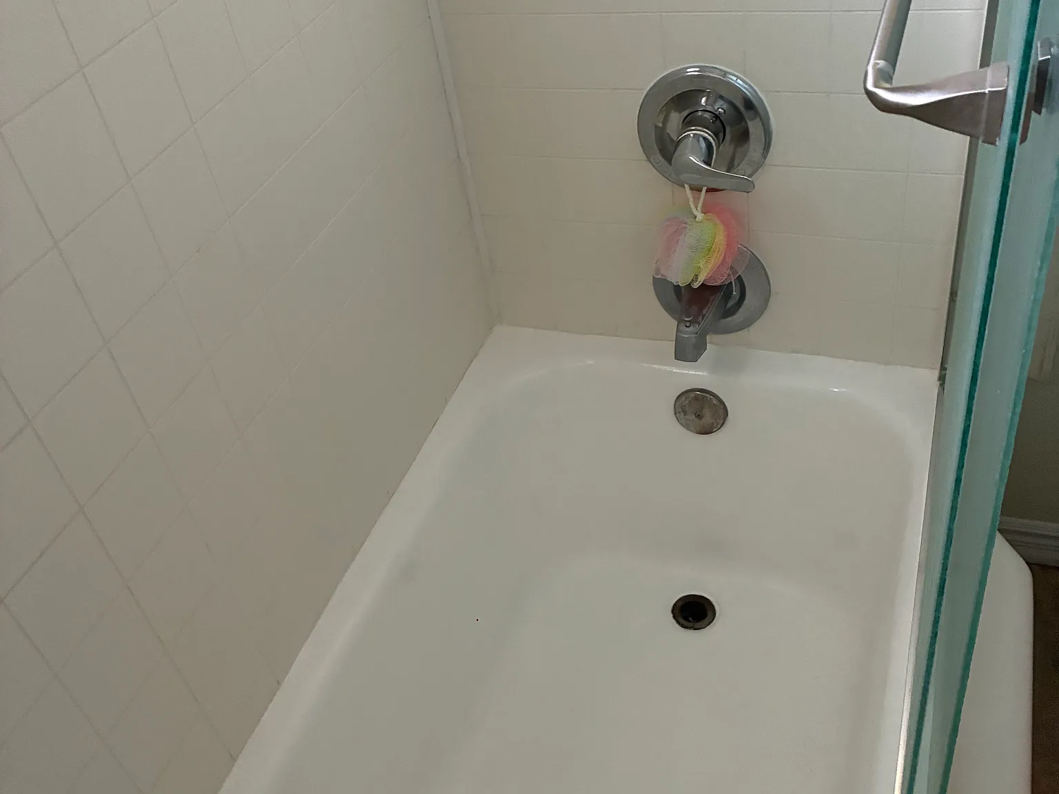 1 bed, 750 sqft, $1,500 — Photo 4
