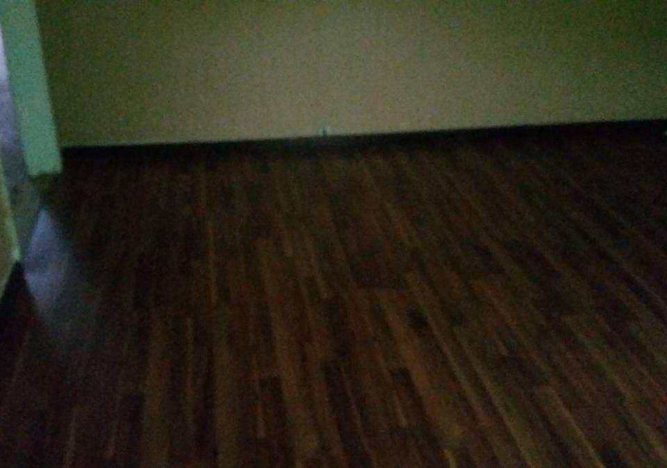 2nd image of 211 Segura St
