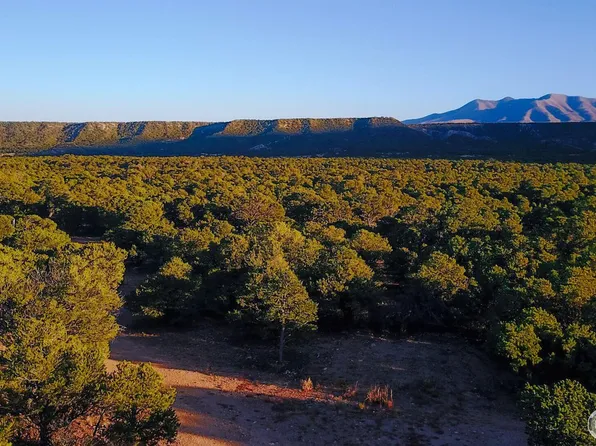 72 Colorado Land and Grazing, Gardner, CO 81040