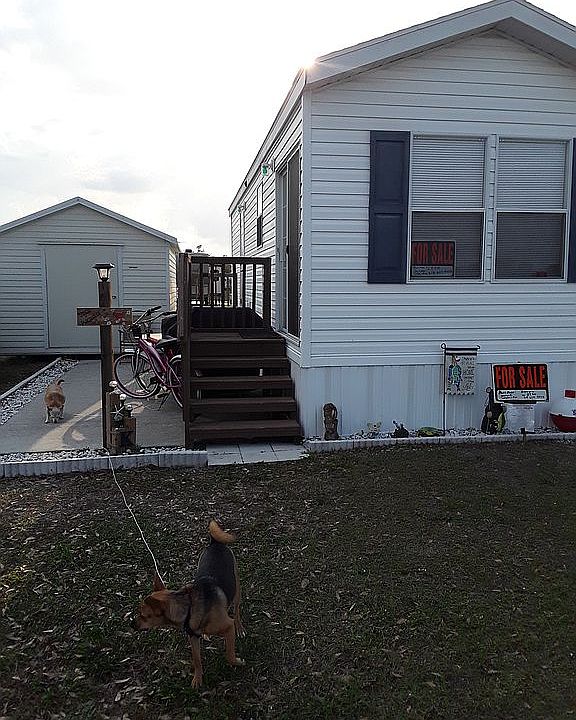 20 1 1 Park model in great shape