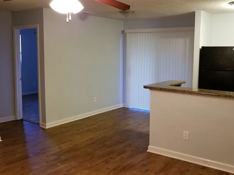 Springlake Apartments — Photo 14
