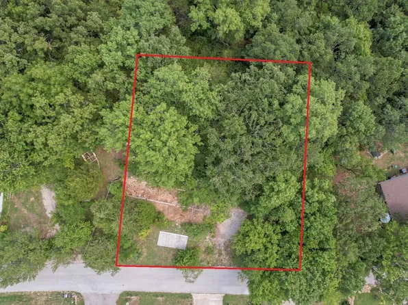 732 Briar Cliff Road, Lampe, MO 65681