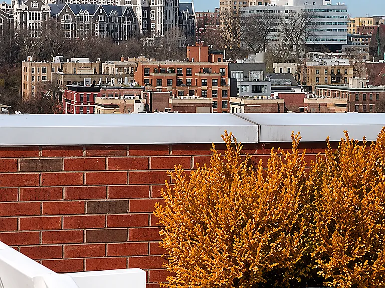 2351 Adam Clayton Powell Jr Blvd #306 — Photo 9