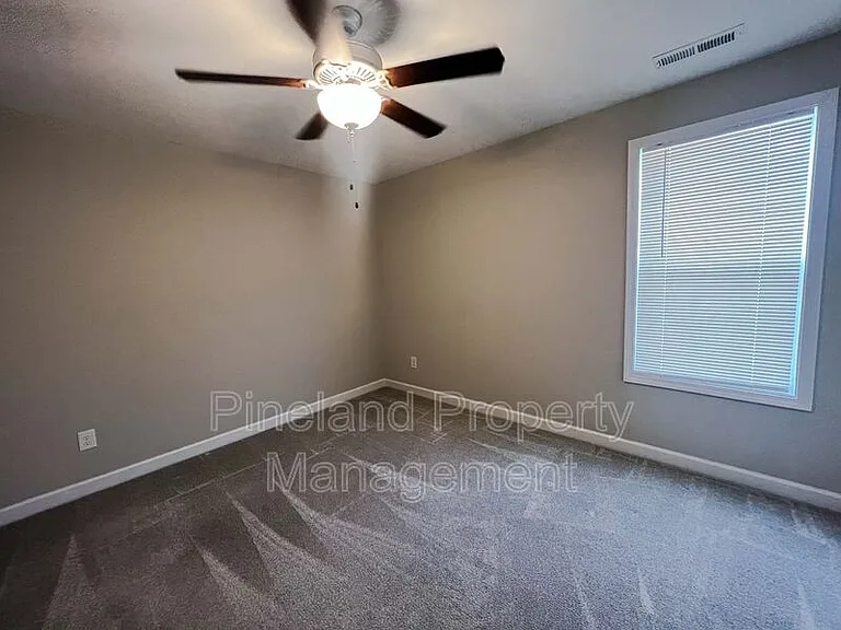 388 Dundee Farm Rd — Photo 17