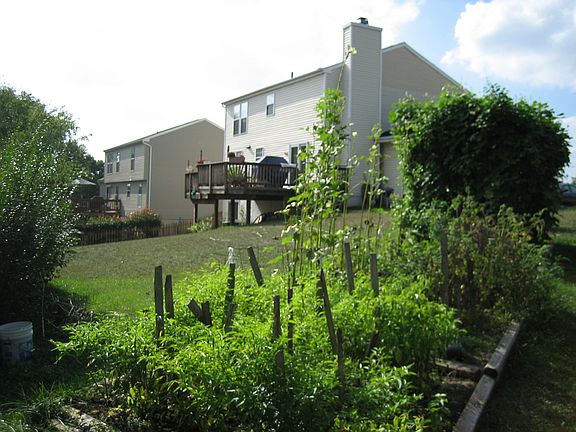Deck View