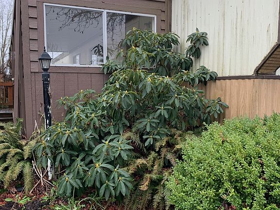 2nd image of 2796 S Main Rd Unit 64