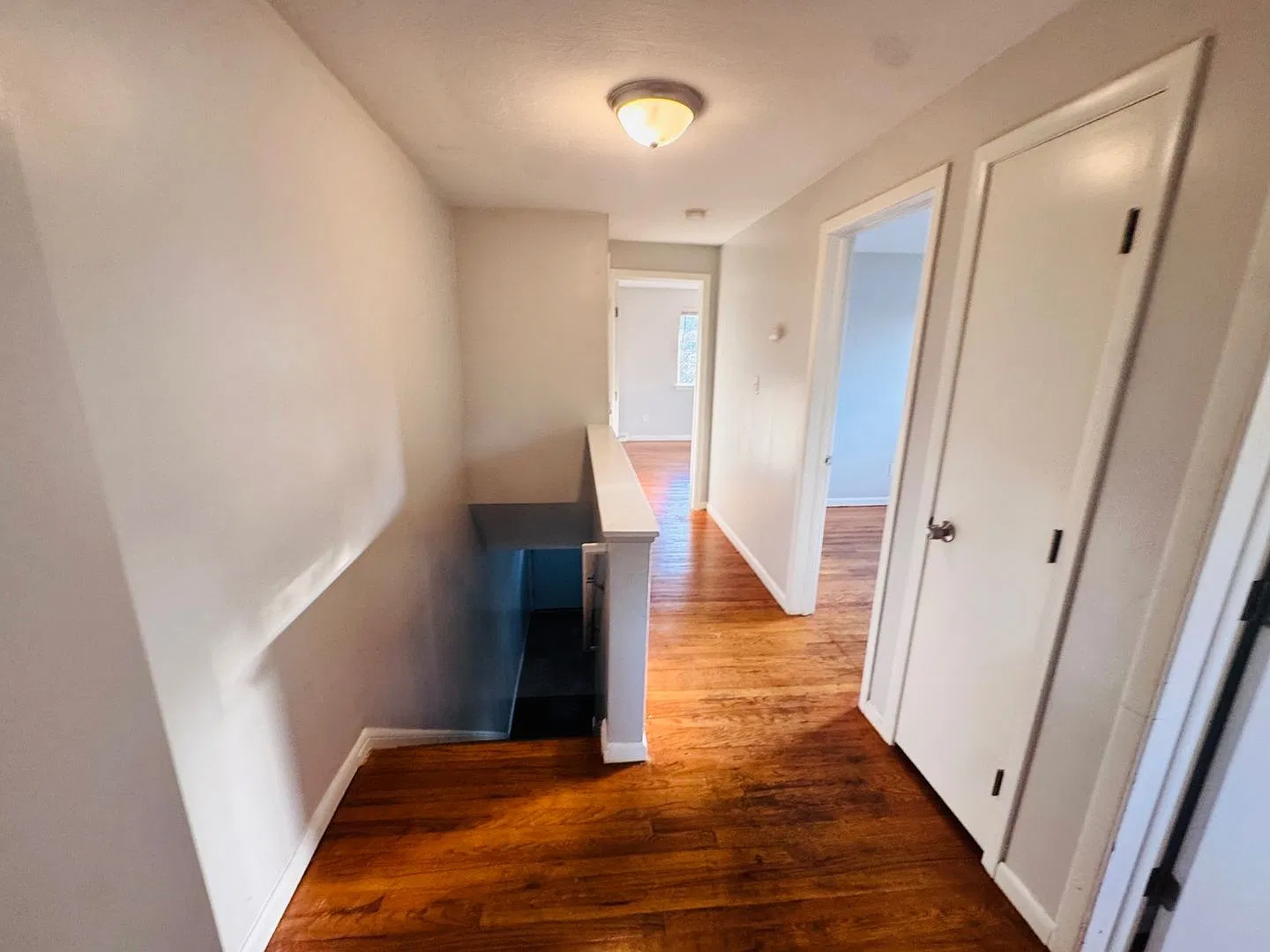 8215 Crudele Dr — Photo 3