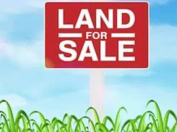 00 Us 301 Hwy, Lucama, NC 27851