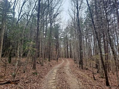 State Highway 13, Eldridge, AL, 35554