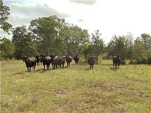 1st image of 0 County Road 118