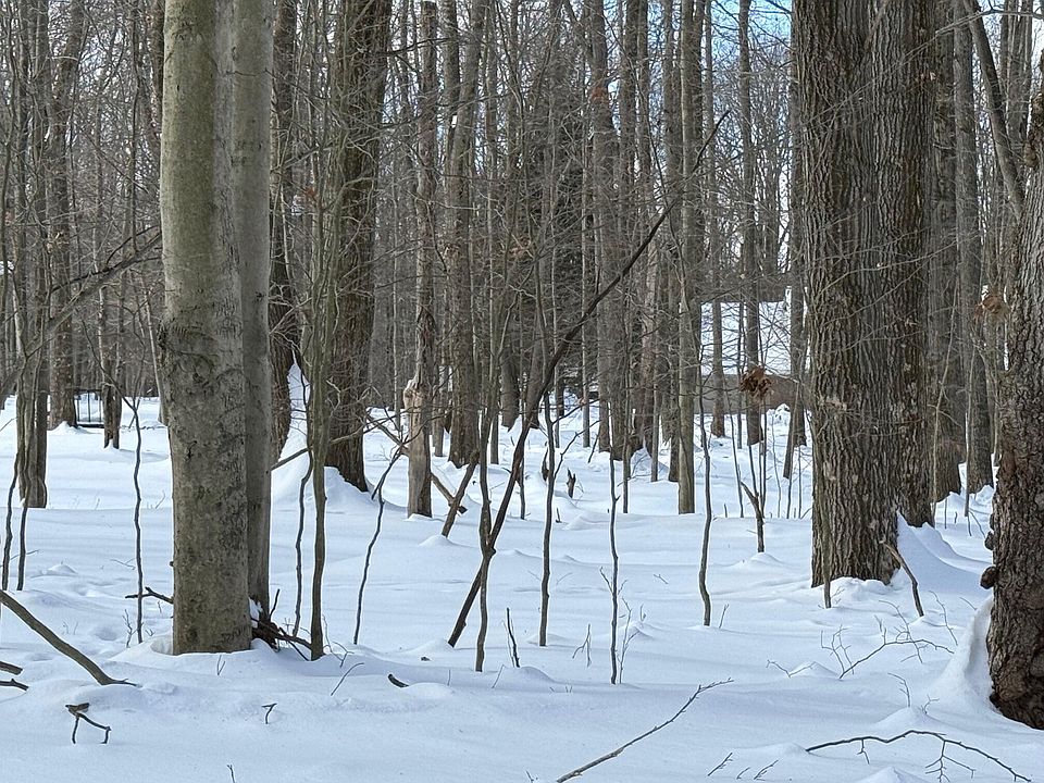 1st image of Malcolm Rd Lot 150