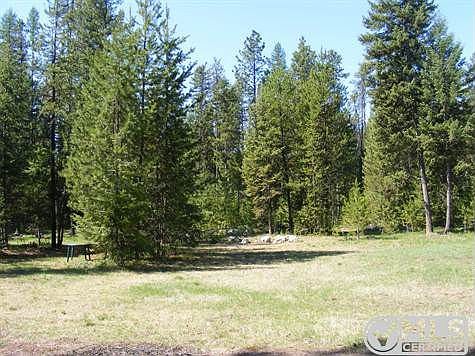 Meadow 2