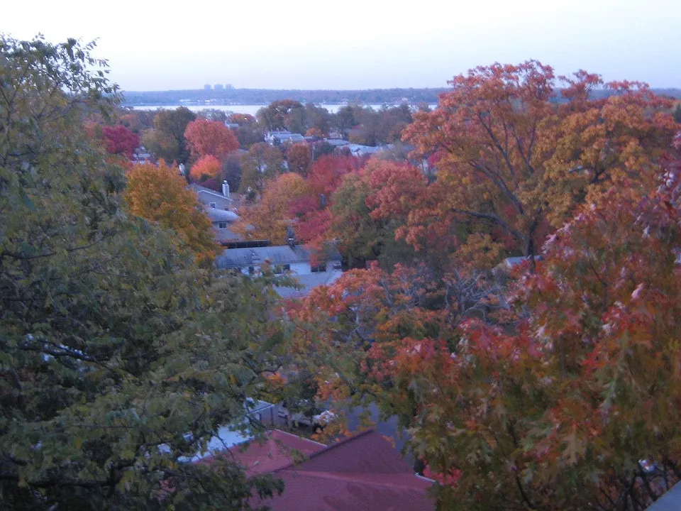 fall foliage from deck