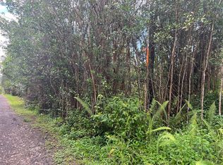 16-1174 Road 11 LOT 5906, Kurtistown, HI 96760
