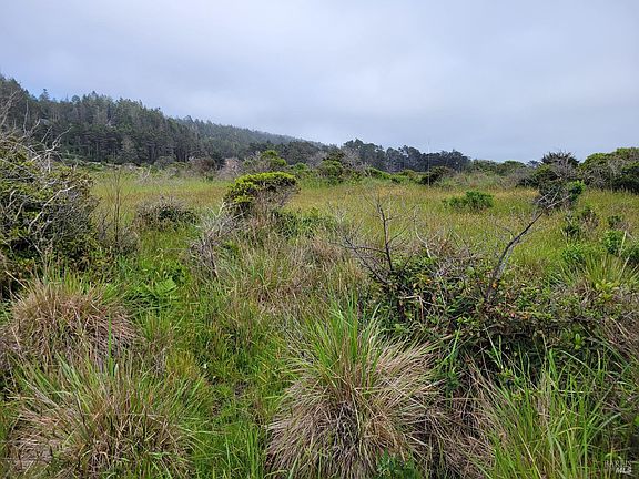 2nd image of 35411 Sea Gate Road