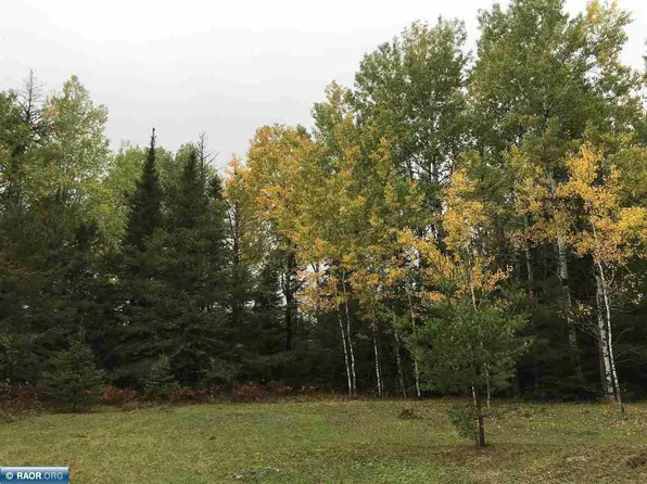 8365 Old Cemetery Rd, Tower, MN 55790