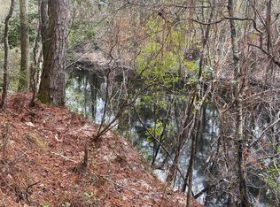 Lizard Ln, Sopchoppy, FL 32358