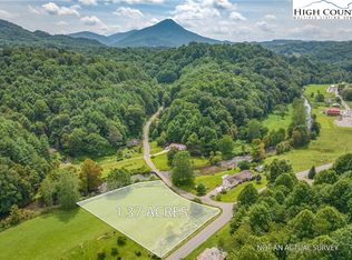 Highway 88, Warrensville, NC 28693