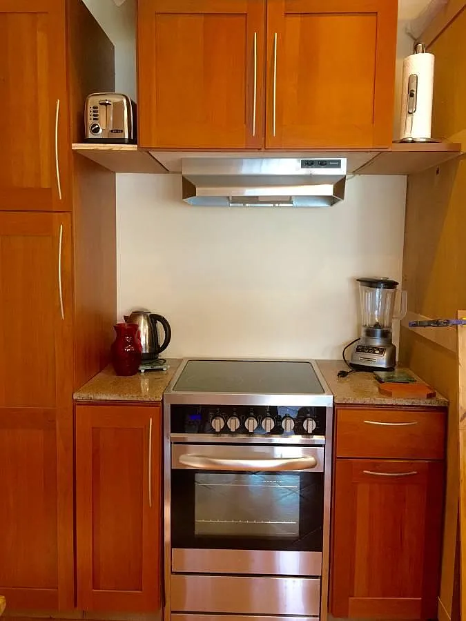 Studio, 550 sqft, $2,450 — Photo 4