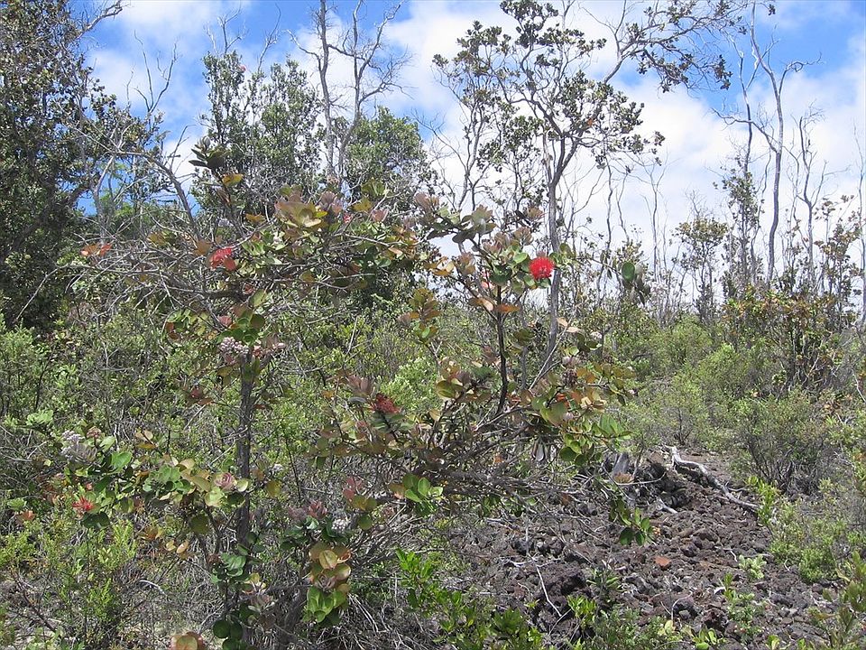 2nd image of Paradise Pkwy Lot 27