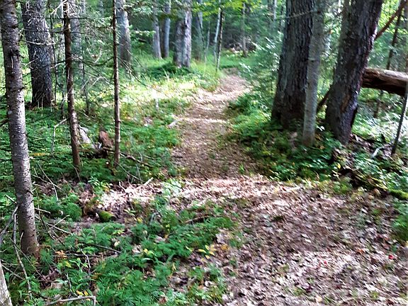 3rd image of Snowbird Lk #113W
