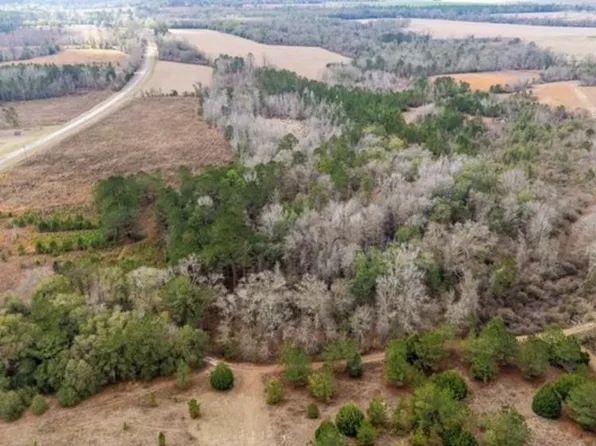 112 County Rd, Columbia, AL 36319
