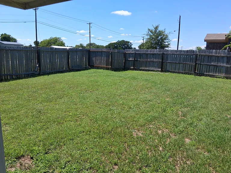 Back Yard